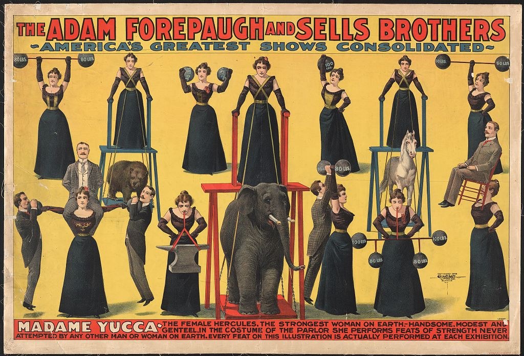 Plakat für "Adam Forepaugh und Sells Brothers, Americas Greatest Shows Consolidated" mit Performern auf Hockern und einem Elefanten in der Mitte und Werbetext.