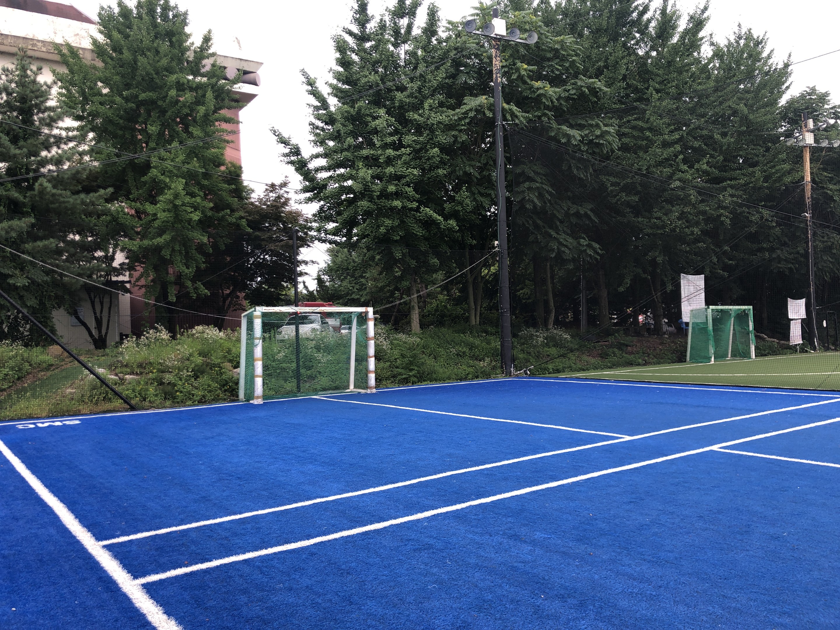 Ein blauer Tennisplatz mit einem Tor in der Mitte, umgeben von grünem Gras, Pflanzen, Bäumen, einem Gebäude und einem klaren blauen Himmel.