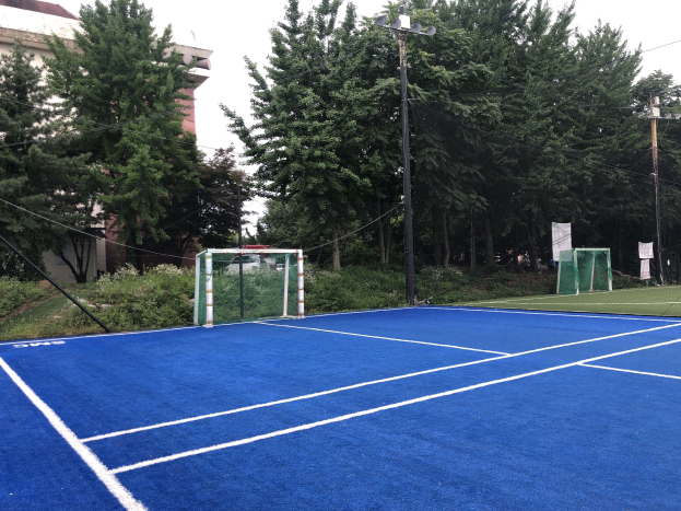 Ein blauer Tennisplatz mit einem Tor in der Mitte, umgeben von grünem Gras, Pflanzen, Bäumen, einem Gebäude und einem klaren blauen Himmel.