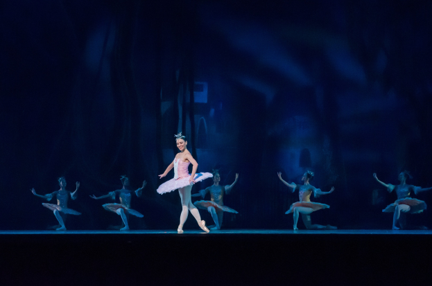 Eine Ballerina in einem rosafarbenen Tutu und Spitzenschuhen tanzt auf einer Bühne mit anderen Tänzern in passenden Kostümen, vor einem dunklen Hintergrund.