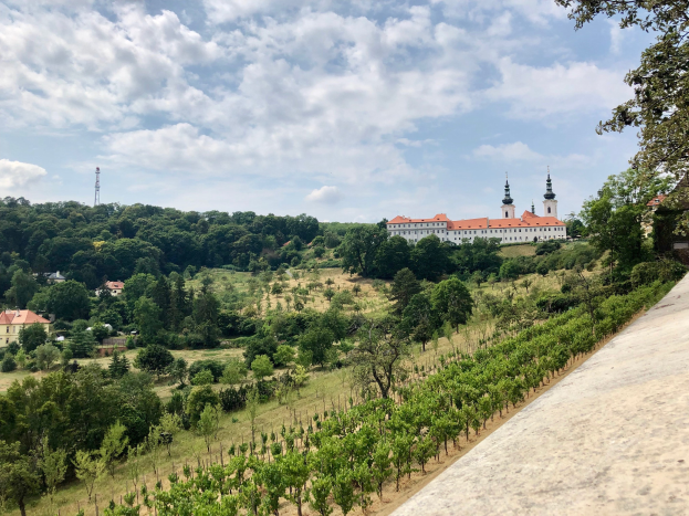 Stadtrat setzt Kurs für die Zukunft des Koblenzer Wein Dorfes