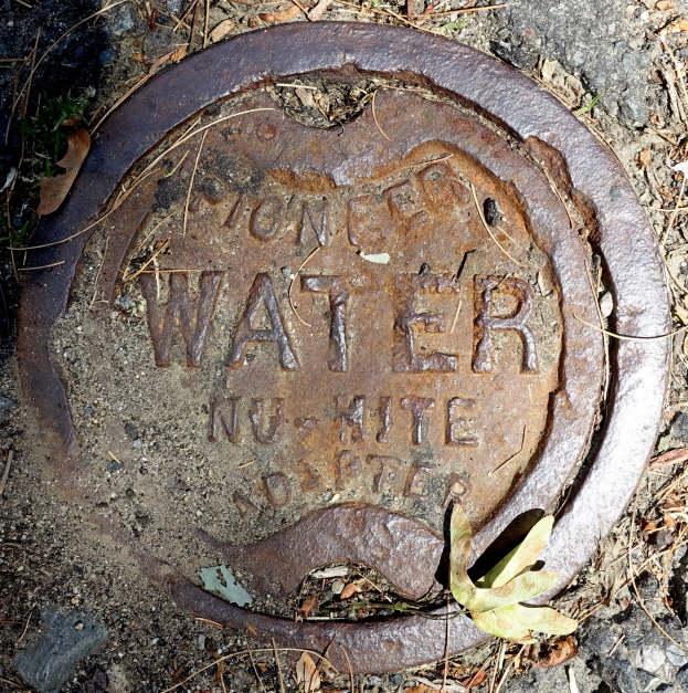 Ein verrosteter Gullideckel mit der Aufschrift "Wasser" auf dem Boden, umgeben von trockenen Blättern und Gras.