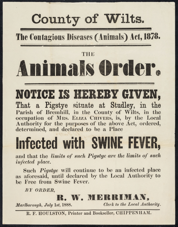 Ein Plakat mit Text, der eine Bekanntmachung nach dem Tierseuchengesetz von 1878 ankündigt, bezüglich der Afrikanischen Schweinepest in Wiltshire.