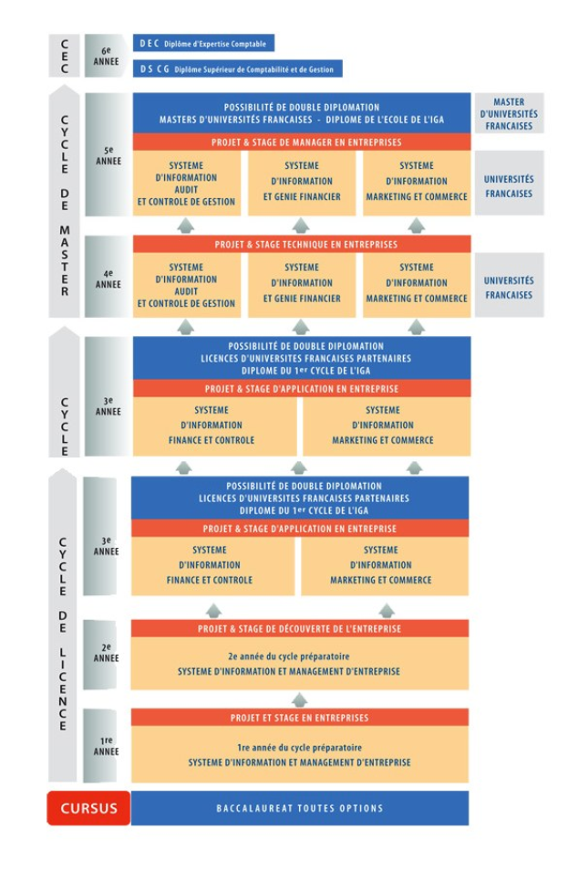 Diagramm, das die organisatorische Struktur eines Unternehmens mit interconnected boxes darstellt, die die Stufen des Geschäftswachstums und der Entwicklung darstellen, begleitet von Text, der Rollen und Verantwortlichkeiten beschreibt.