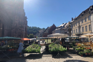Ein belebter Markt im alten Stadtzentrum von Heidelberg mit Menschen, die um Tische mit Blumentöpfen und Sonnenschirmen sitzen und stehen, vor einem Hintergrund aus Gebäuden, Bäumen und einem klaren blauen Himmel.
