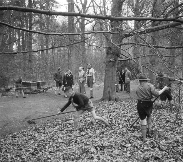 Schwarz-weißes Bild von Menschen, die mit Stöcken in einem bewaldeten Gebiet mit gefallenem Laub spielen.