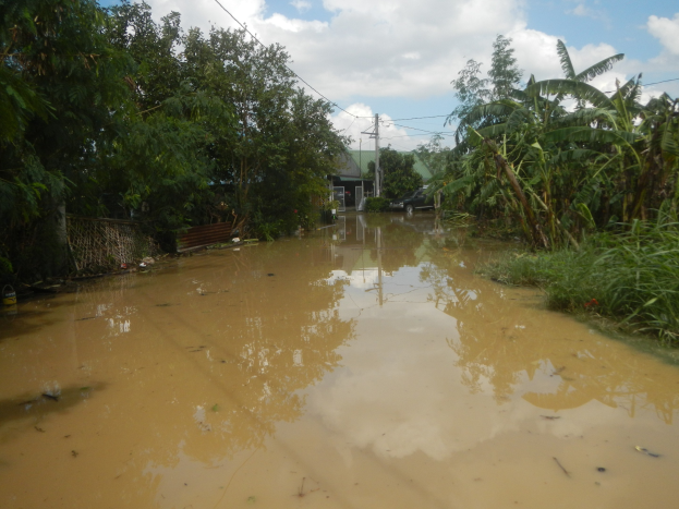 Eine überflutete Landstraße mit Wasser, das die Straße bedeckt, Pflanzen und Bäumen auf beiden Seiten und einem rechts geparkten Auto, mit Häusern, Strommasten und Drähten im Hintergrund und einer bewölkten Himmel.