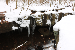 Ein kleiner Wasserfall in einem verschneiten Wald, mit Eiszapfen an den Felsen und schneebedeckten BÄumen im Hintergrund.