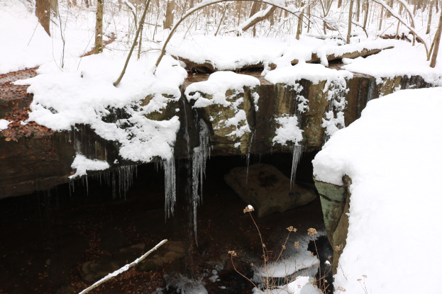 Ein kleiner Wasserfall in einem verschneiten Wald, mit Eiszapfen an den Felsen und schneebedeckten BÄumen im Hintergrund.
