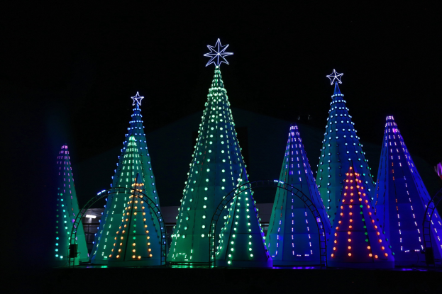 Erfolgreicher Abschluss der Weihnachtsbaum-Aktion der CDU und JU in Koblenz - Weihnachtsbäume kehren in den Wald zurück