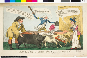 Ein Cartoon, der eine Gruppe von Menschen in traditioneller Kleidung und verschiedene Meerschweinchen-Arten zeigt, mit dem Text "Lieblings-Meerschweinchen auf dem Weg zum Markt" darüber.