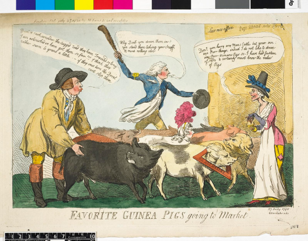 Ein Cartoon, der eine Gruppe von Menschen in traditioneller Kleidung und verschiedene Meerschweinchen-Arten zeigt, mit dem Text "Lieblings-Meerschweinchen auf dem Weg zum Markt" darüber.