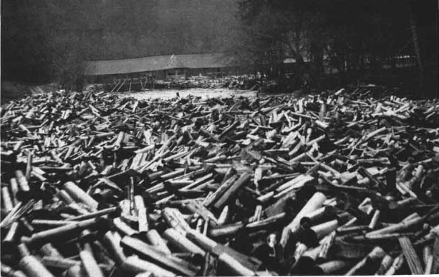 Ein Schwarz-Weiß-Foto eines großen Haufens von Kugeln im Vordergrund, mit einer Hütte und Bäumen im Hintergrund und dem Text "Weltkrieg" unten.