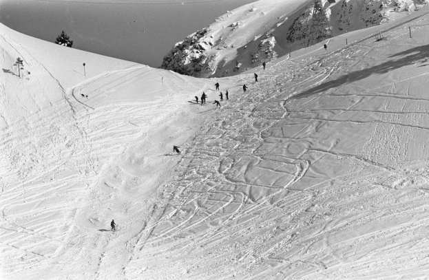 Schwarze und weiße Fotografie von Menschen, die eine schneebedeckte Piste mit Bäumen und Pfosten hinunterski