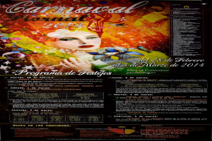 Eine Frau in einem farbenfrohen Kleid, die fröhlich lächelt, umgeben von dem Text "Carnaval Festival 2014" in fetter schwarzer Schrift auf einem leuchtend gelben Hintergrund.